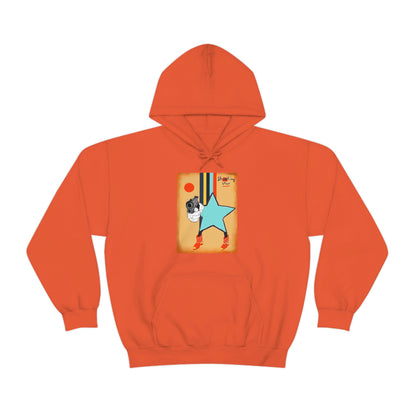 SHOOTING STAR hoodie