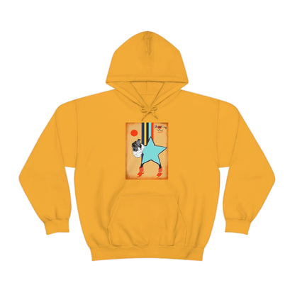 SHOOTING STAR hoodie